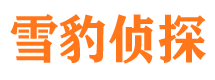 镇巴捉小三公司